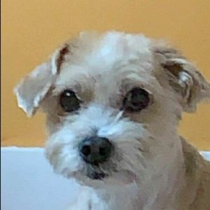 Meet your Posher, Adan